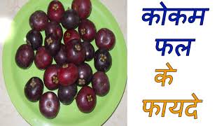 कोकम फल के फायदे health benefits of garcinia indicakokum ke fayde [upl. by Onfre765]