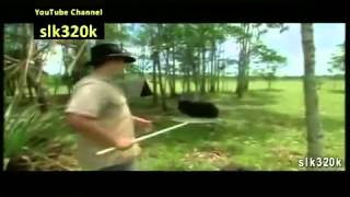 Killer Cassowary Bird Attacks [upl. by Bergerac]