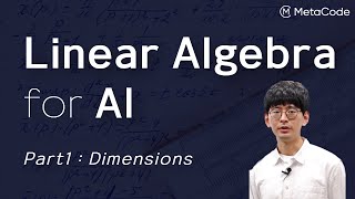 Linear Algebra Tutorial for AI  Part 1 Dimensions [upl. by Garda625]