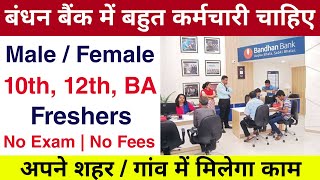 Bandhan Bank मैं निकली भर्ती  Bank Recruitment 2024  new vacancy 2024  bank vacancy 2024 [upl. by Garnes]