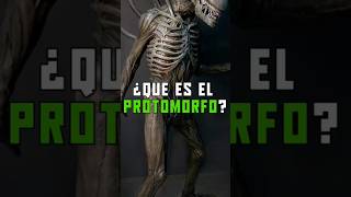 ¿Que es el Protomorfo xenomorph alien [upl. by Hett]