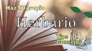 COMO hacer un HERBARIO 📖  2 Libros herbario  TIPOS y TIPS [upl. by Yentruoc167]