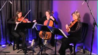 Canon in D Pachelbel for String Trio Violin Viola Cello [upl. by Dworman]