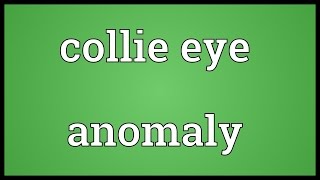 Collie eye anomaly Meaning [upl. by Raybin]