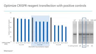 A virtual workshop for precise HDRmediated genome engineering with CRISPRCas9 [upl. by Eirallam]