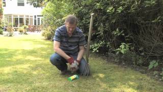 Getting Rid of Weeds in a Lawn with Roundup Gel  Video  Roundup Weedkiller [upl. by Nemaj]