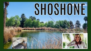 Secret SHOSHONE picnic spot amp SPRING trail hike  RV Park amp Desert Tortoise Sanctuary [upl. by Isac]