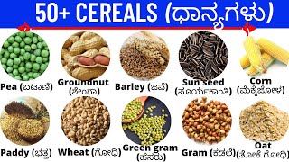 Cereals  ಧಾನ್ಯಗಳು  Vocabulary  ಕನ್ನಡದಿಂದ ಇಂಗ್ಲೀಷ್ ಕಲಿಯಿರಿ  Spoken English [upl. by Asiuol828]