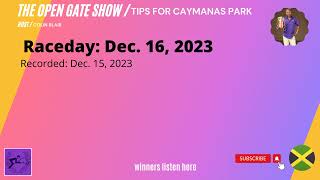 Tips for Caymanas Park Horse Racing Jamaica  Raceday Saturday Dec 16 2023 [upl. by Drobman]