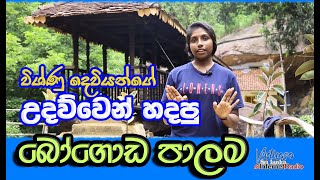 bogoda palama badulla 2024 full details [upl. by Willi]