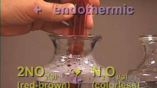 NO2 N2O4 Gas Equilibrium LeChateliers Principle Lab Part 4 [upl. by Ernie]