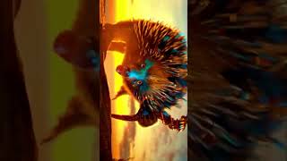 the legends of the guardians the owls of gahoole edit legendoftheguardians [upl. by Matias829]