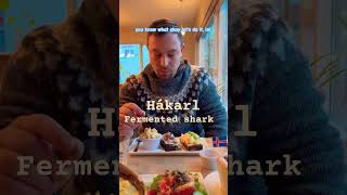 Fermented shark in Iceland known as hákarl iceland travel fermented greenlandshark [upl. by Alarick163]