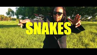 Navy  Snakes feat DWN Official Music Video [upl. by Milah618]