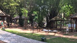 Visita ao Parque Municipal Dom José em Barueri [upl. by Chiou]