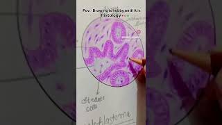 Pathology diagrams histology drawing dentalschoollife dentalschool dentist futuredoctor [upl. by Nilloc14]