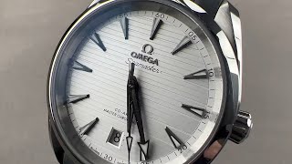 Omega Seamaster Aqua Terra 38mm 22012382002001 Omega Watch Review [upl. by Schreiber]