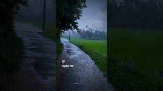 Monsoon season rain  monsoon season Nature  Greenery and Nature nature travel rainsounds [upl. by Kirtap]