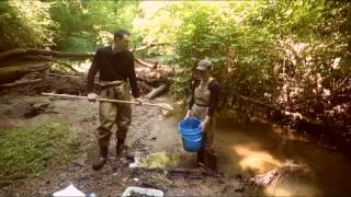 RiverWatch Sorting and Subsampling Macroinvertebrates [upl. by Aryk]