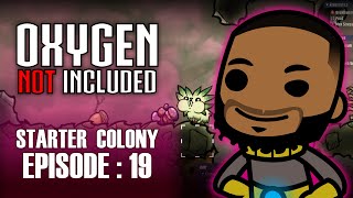 Oxygen Not Included Starter Colony Episode 19 [upl. by Guglielmo]