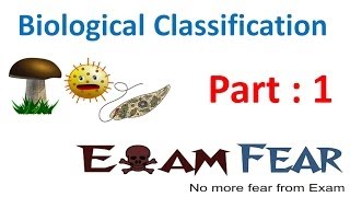 Biology Biological Classification part 1 Introduction amp Aristotle CBSE class 11 XI [upl. by Lindell]