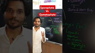 Sporophyte Vs Gametophyte 🔥✨ k2institute viral biology shorts biology11 [upl. by Jaan341]