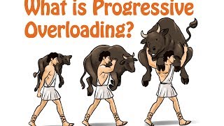 8 Progressive Overloading Key to Continued Strength and Mass Gain [upl. by Cass]