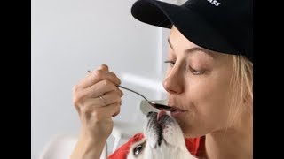 Iliza Shlesinger Is Combining Cooking And Comedy During Quarantine  Celebrity Page [upl. by Urana]