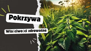 Pokrzywa i jej właściwosci [upl. by Einahpets]