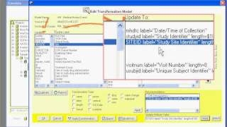 Transdata™  CDISC Transformation Specification and Code Generator [upl. by Hancock836]