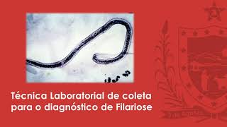 Técnica Laboratorial de Coleta para o Diagnóstico de Filariose [upl. by Everara560]