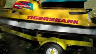 Winterize Tiger Shark Jet Skis Part 1 [upl. by Butterworth]