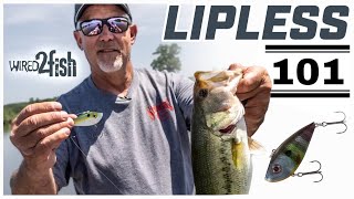 Lipless Crankbait Versatility with Scott Suggs [upl. by Peddada415]