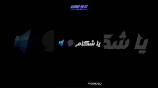 cheb Hakim الراجل جامي ينعاف manini viral musicvideo فتيات ابونيياكباطلخوتي alger manini [upl. by Stead370]