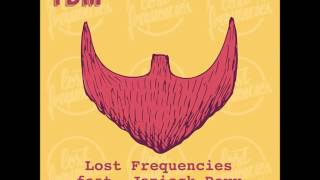 Lost Frequencies feat Janieck Devy  Reality Extended [upl. by Lamphere]