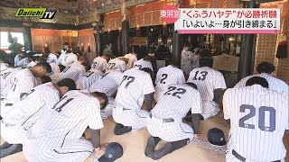 「くふうハヤテベンチャーズ静岡」久能山東照宮で必勝祈願…表参道１１５９段の石段に選手らは？（静岡市） [upl. by Yelehsa]