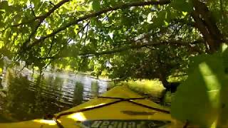 Kayaking Seeleys Bay to Brass Point Bridge June 16 2020 [upl. by Ednalrim64]