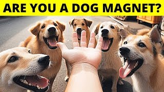 10 Secret Reasons Why You’re a True Dog Magnet [upl. by Ahsemed]