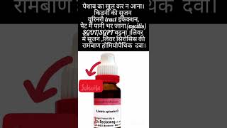 liatris spicata homoeopathic medicine uses in liver complaints [upl. by Stedt]