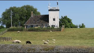 Terug naar thuishaven Workum  Lemsteraak Wadwaai 202313 [upl. by Suired]