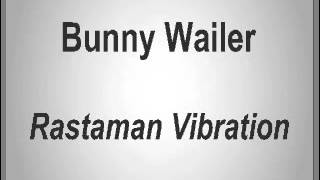 Bunny Wailer Bob Marley  Rastaman Vibration [upl. by Aisinoid379]