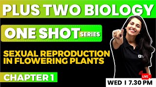 PLUS TWO BIOLOGY  One Shot Series  Sexual Reproduction in Flowering Plants  EXAM WINNER [upl. by Odrarebe]