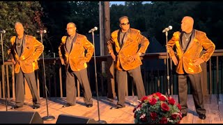 The Stylistics Revue Feat Van Fields quotStone In Lovequot Kansas City 2024 [upl. by Hedveh]