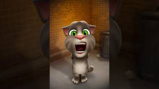 qwertyuiop asdfghjkl zxcvbnm talking angela [upl. by Alain395]