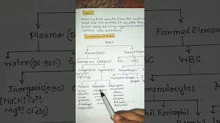 composition of blood physiology biology zoology neet shortsfeed shortsviraltrending [upl. by Hafirahs]