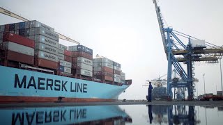 Maersk Digitizing systems to help customers simplify their supply chain [upl. by Candis]