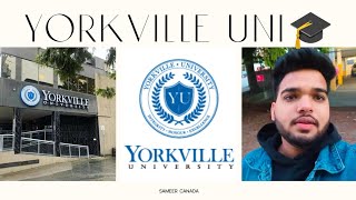 Yorkville University 🇨🇦🇨🇦🇨🇦yorkvilleuniversity tour canada internationalstudents viral ytindia [upl. by Sanfourd]