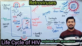 58 Life cycle of HIV retrovirus  AIDS causes and symptoms  Fsc Biology Class 11 [upl. by Ttezzil]