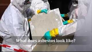 What does asbestos look like [upl. by Enilekaj151]