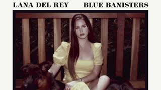 lana del rey  dealer clean [upl. by Nosecyrb]